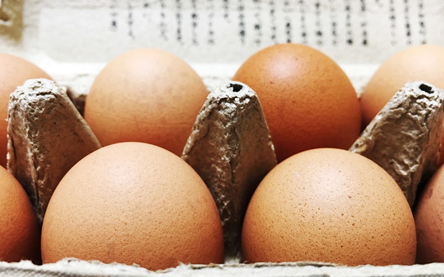 筋トレに生卵は効かない？たんぱく質を摂取するベストな調理法を紹介-卵の話|大熊養鶏場