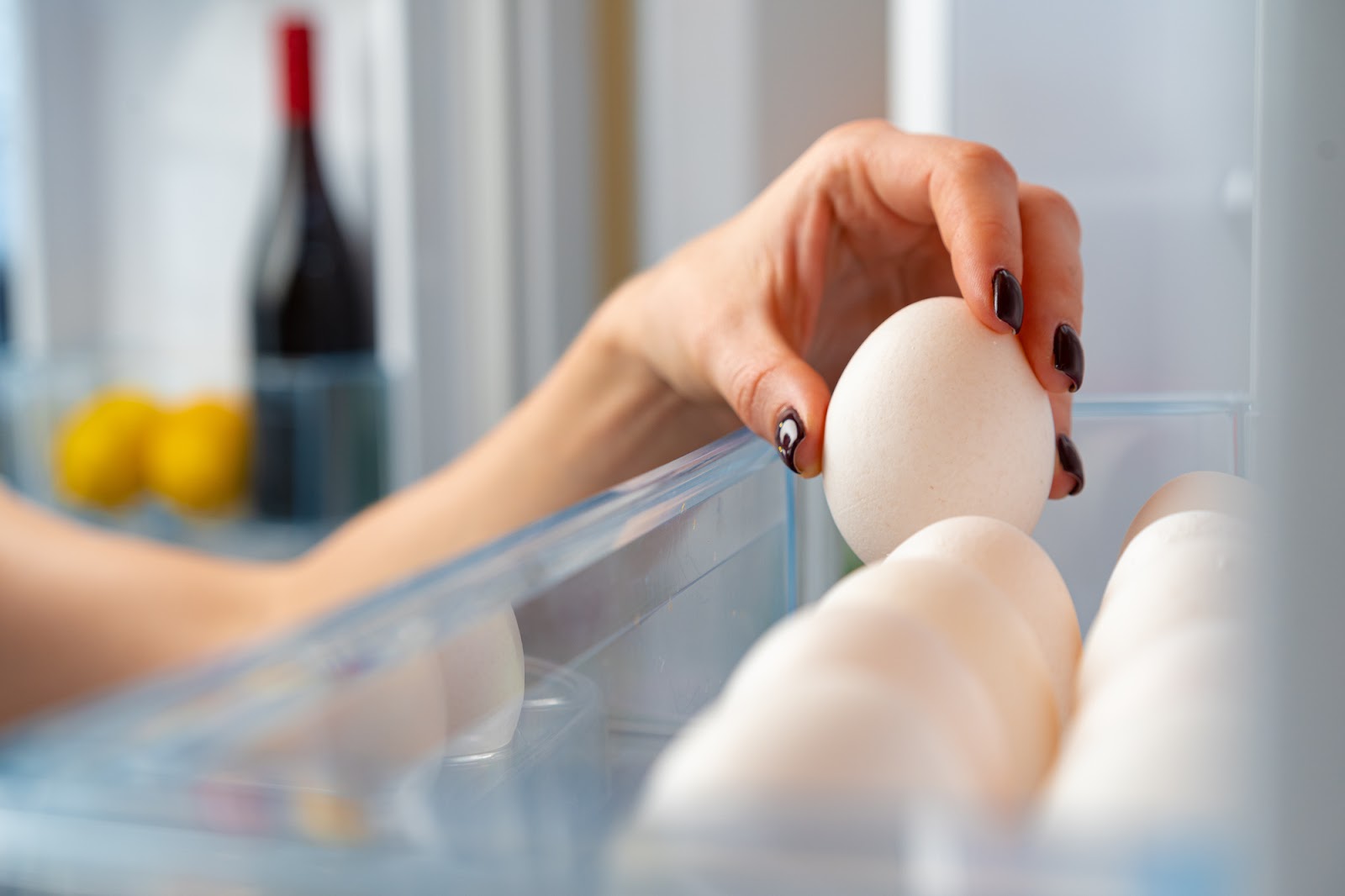 冷蔵庫に余った卵で簡単おつまみ7選【少ない卵でもOK】-レシピ|大熊養鶏場