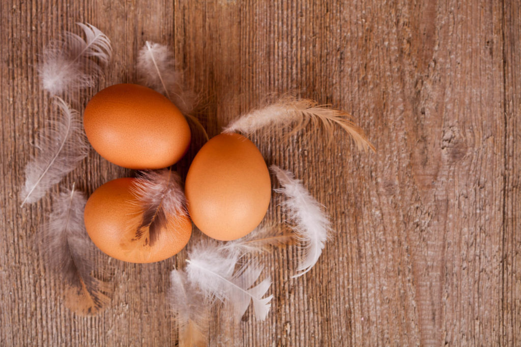 卵の黄身の色は栄養価に直接関係は無い