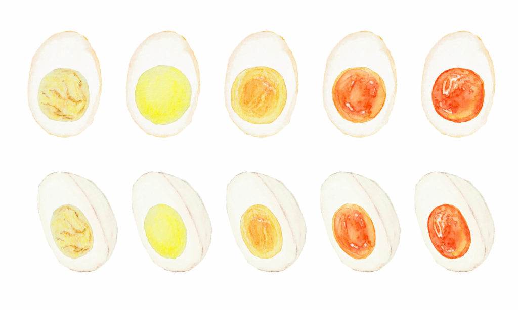 卵の黄身の色は「餌」で変わる！本当に美味しい卵の選び方を北海道の養鶏場が解説-卵の話|大熊養鶏場