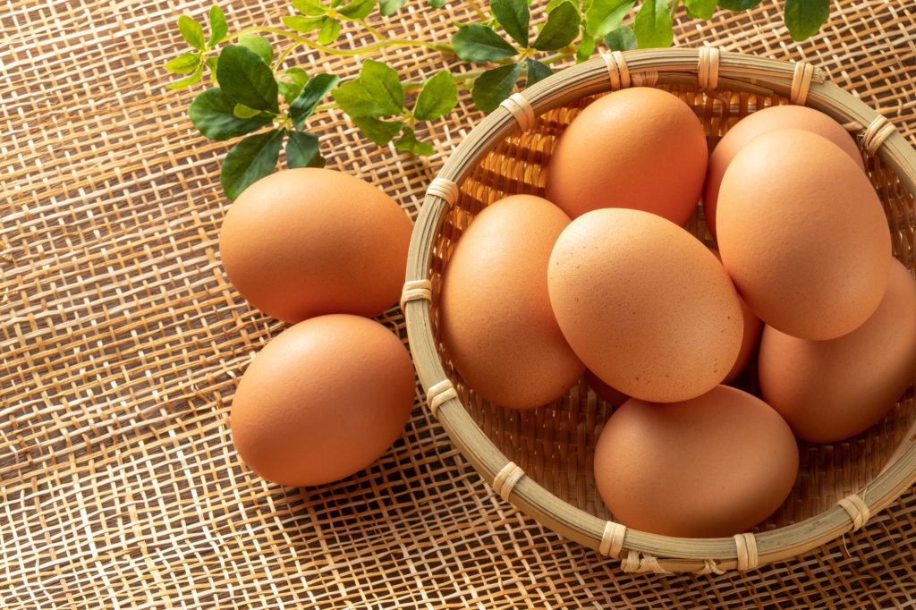 卵が完全栄養食と呼ばれる理由とは？効果やおすすめの食べ方をご紹介-卵の栄養図鑑|大熊養鶏場