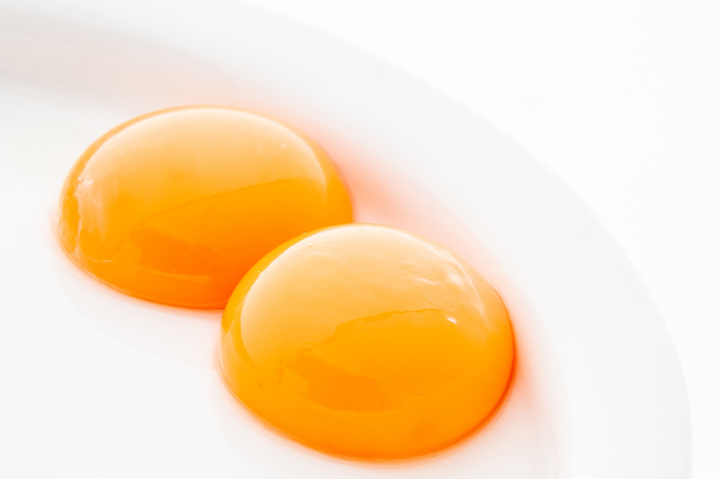 卵黄に含まれるコリンとは？効果や摂取目安量を養鶏場が解説します