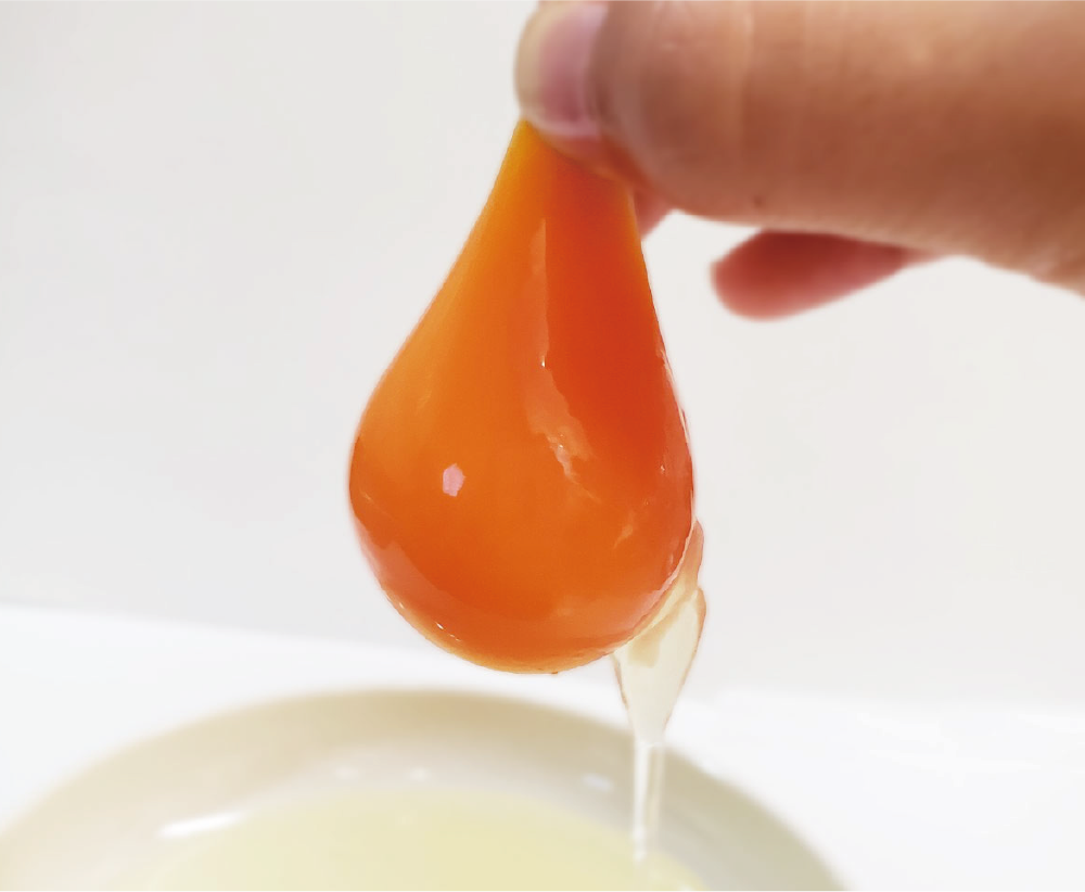 ブランド卵「かっぱの健卵」で目玉焼きをさらにおいしく！