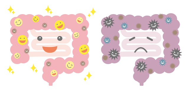 アスタキサンチンが便秘の改善を助ける？