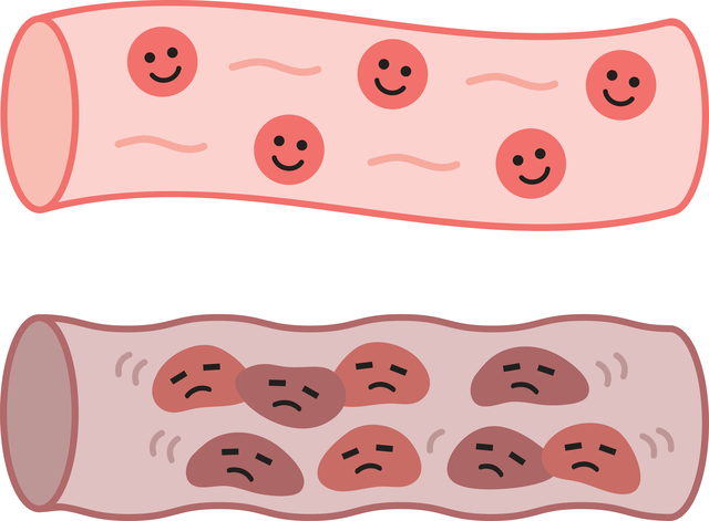 アスタキサンチンが血圧を安定させるメカニズム
